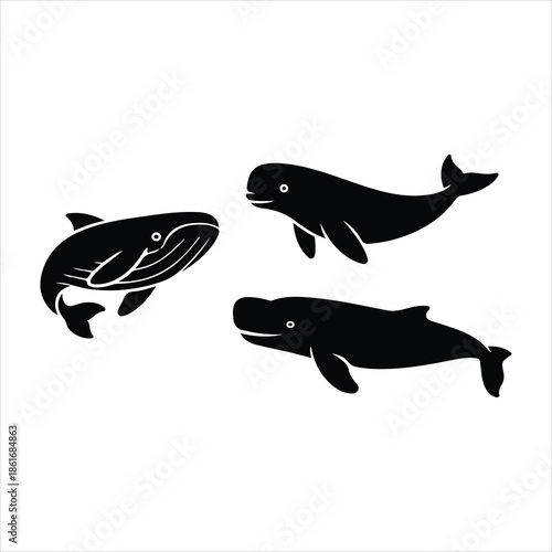 vector illustration of a fish