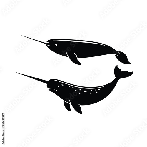 silhouette of a fish
