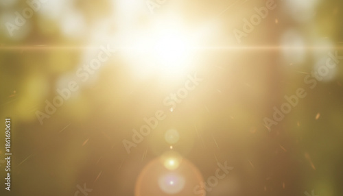 ソフトフォーカスの強いぼやけた背景画像　太陽の光が溢れ光輝く森林のイメージ　背景ボケ、バックグラウンド