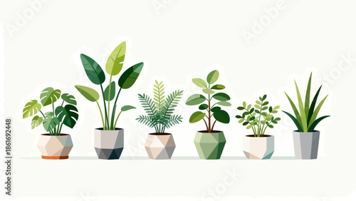 Potted plants in geometric pots