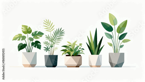 Five potted plants in geometric pots