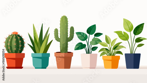 potted plants on shelf