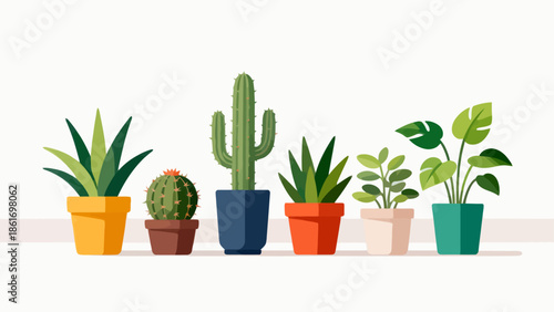 Potted plants in colorful pots