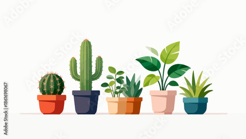 Potted plants in colorful pots
