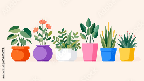 Colorful potted plants in a row