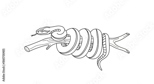 Creative illustration of a snake intertwined with multiple rings around a branch in a minimalistic