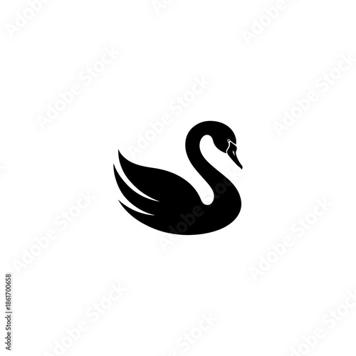 Black swan silhouette bird water 