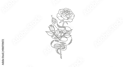Elegant Line Art of a Rose with a Snake Coiled Around the Stem in Minimalist Style for Tattoos or
