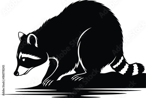 Alert raccoon silhouette illustration on white background