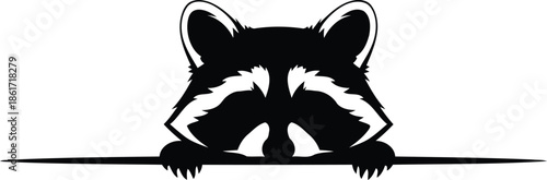 Cute peeking raccoon head with paws over horizontal line