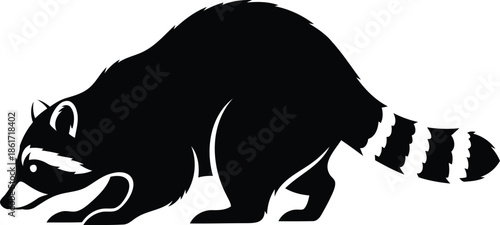Raccoon animal graphic design element illustration