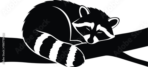 Stylized sleeping raccoon on tree branch graphic design
