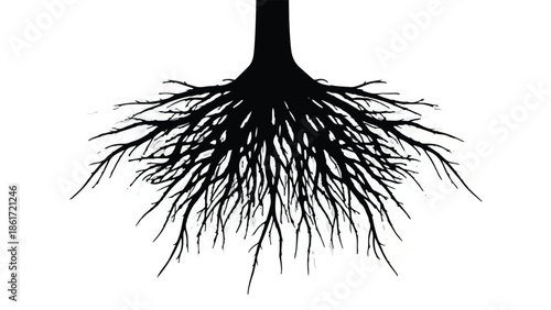 Intricate network of tree roots spreading outwards against a clean white background, symbolizing growth and connection.