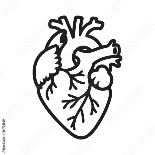 Simple black and white illustration of a human heart with visible chambers and vessels