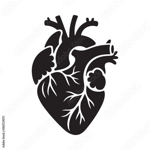 A detailed black silhouette illustration of a human heart with visible arteries and veins
