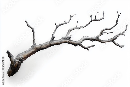 weathered gnarled dead tree branch isolated on white background, bare twisted wood conveying solitude and stark minimalism