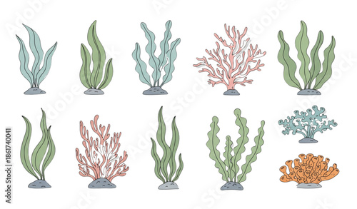 Doodle style underwater plants vector set with seaweeds and corals isolated on white background