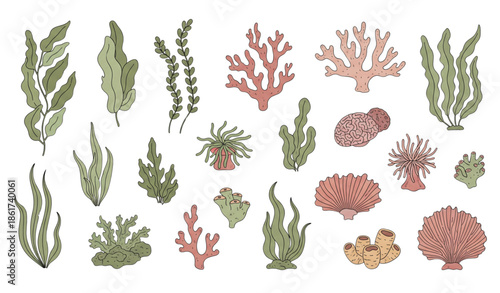 Flat seaweed and coral vector illustration set in doodle style isolated on white background
