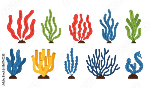 Flat marine plants vector illustration with seaweeds corals and reef elements isolated on white background