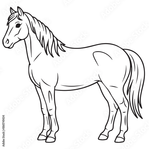 vector illustration of a horse line art