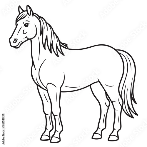 horse vector illustration