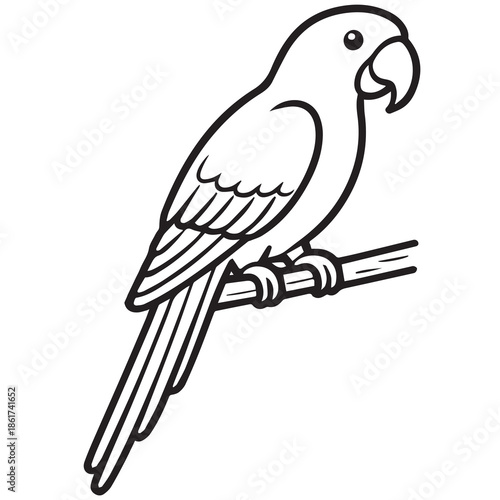 vector illustration of a parrot