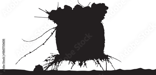 A stark silhouette of an uprooted plant or root ball revealing its intricate underground structure