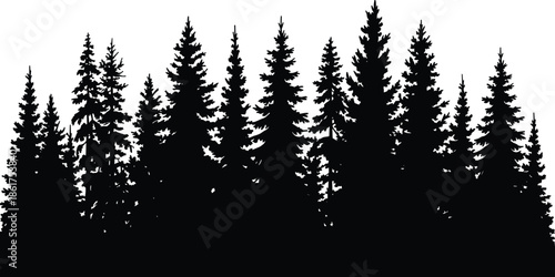 Dark pine forest silhouettes forming natural tree skyline isolated on white background, evergreen woodland landscape illustration, vector, nature, design, art