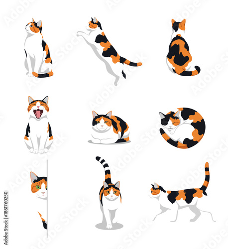 Calico Cat Illustration Set with Multiple Poses Flat Vector Style