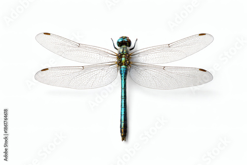 Iridescent Blue Dragonfly with Outstretched Wings Isolated on White Background