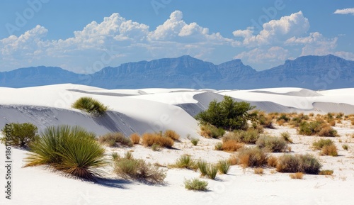 Panoramic view of white sand dunes with vibrant green plants and a backdrop of distant mountains under a clear blue sky.