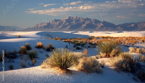 A vast expanse of white sand dunes stretches towards a backdrop of majestic mountains, illuminated by the soft glow of a serene desert sunset.