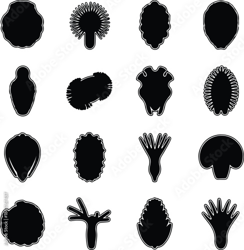 Silhouette Diverse Abstract Microorganism Cell Shapes And Organic Forms Vector Illustration