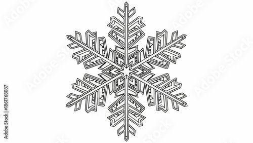 Intricate Snowflake Close Up Macro Detail.