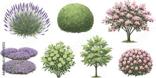 Decorative garden shrubs and flowering trees flat vector illustration set, colorful plants collection isolated for landscape design use