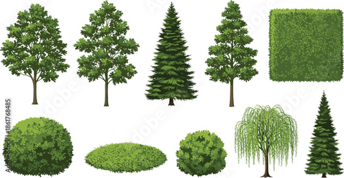 Green garden trees and shrubs flat vector illustration set, evergreen conifer plants collection isolated for landscape design projects