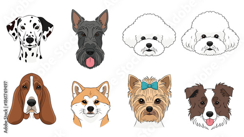 Detailed illustrations of eight different dog breed heads including dalmatian poodle and yorkshire terrier for pet icons.