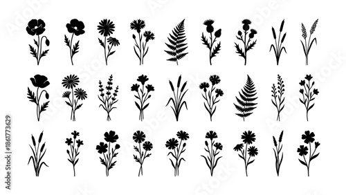 Collection of Various Black Silhouette Flowers.