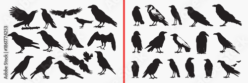 animal bird silhouette vector, wildlife animal black silhouettes, flying bird illustration set, wild creature outline art, nature animal vector collection, forest wildlife icon set, animal clipart sil