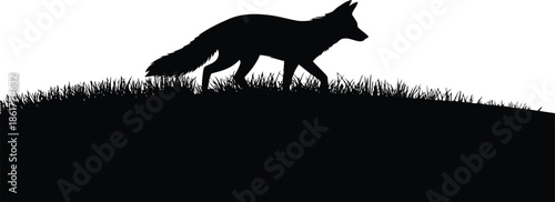 A solitary fox silhouette gracefully walks across a grassy hill under a bright sky