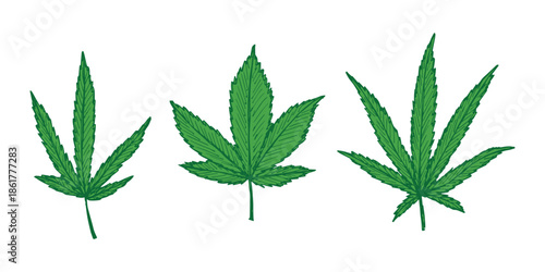 Set of hand drawn cannabis leaf Medicine marijuana Hemp leaves clipart in doodle style Single element for print, web, design, decor