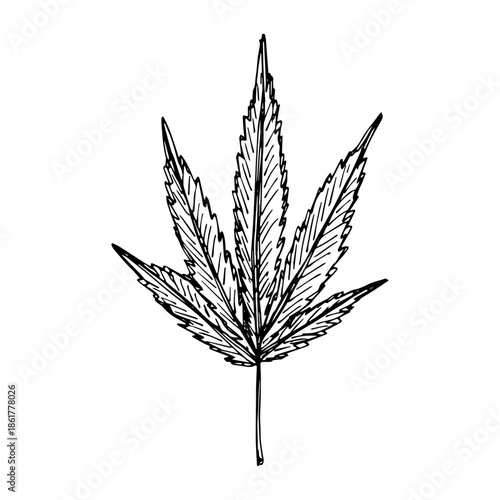 Hand drawn cannabis leaf Medicine marijuana Hemp leaves clipart in doodle style Single element for print, web, design, decor