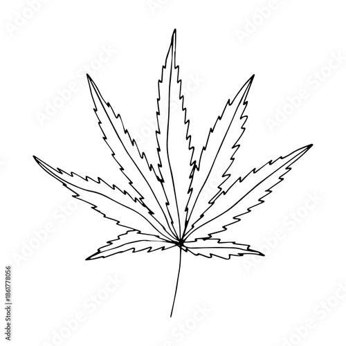 Hand drawn cannabis leaf Medicine marijuana Hemp leaves clipart in doodle style Single element for print, web, design, decor