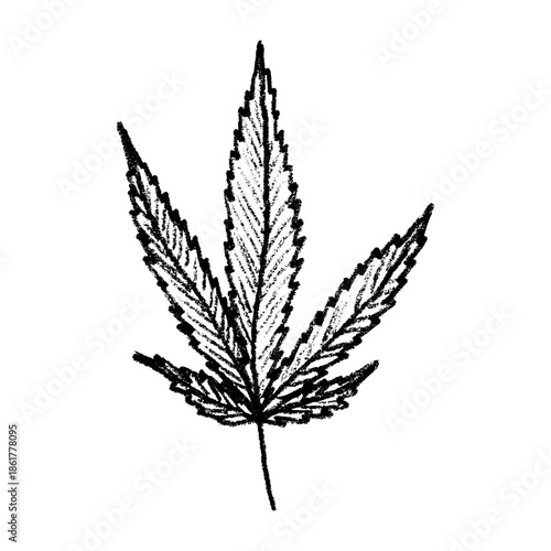 Hand drawn cannabis leaf Medicine marijuana Hemp leaves clipart in doodle style Single element for print, web, design, decor