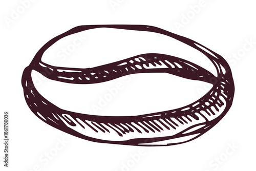 Hand drawn fresh roasted coffee bean Arabica robusta seed doodle Single element for print, web, design, decor