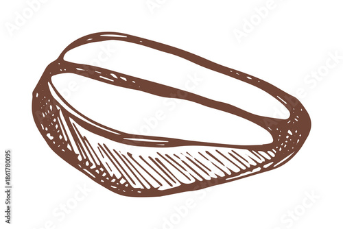 Hand drawn fresh roasted coffee bean Arabica robusta seed doodle Single element for print, web, design, decor