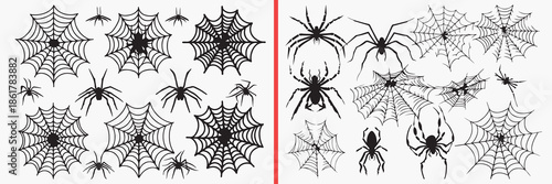 spider silhouette vector, spider web silhouette collection, halloween spider illustration, creepy insect silhouette art, horror spider icon set, black spider web design, spooky halloween elements, spi