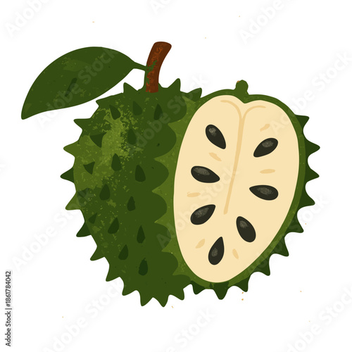Soursop (graviola) icon with its spiky green skin and soft interior, tropical remedy theme. Soursop (graviola) icon with its spiky green skin and soft interior, tropical remedy theme.