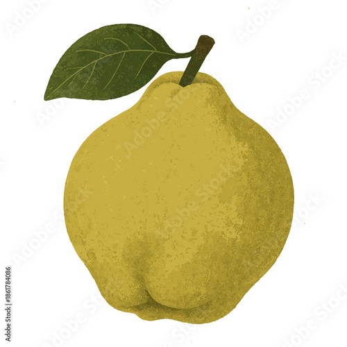 Quince fruit icon with its fuzzy skin and characteristic shape, muted yellow-green tones.