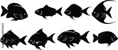 Eight black silhouettes of fish swimming in two rows on white background